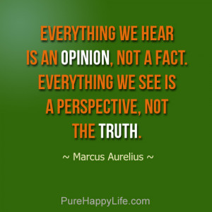 Everything we hear is an opinion, not a fact. Everything we see is a ...