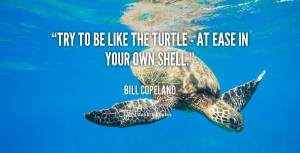quote-Bill-Copeland-try-to-be-like-the-turtle--57612.png