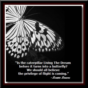 Butterfly Dream Quote