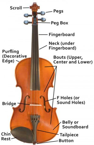 Violin Bow Diagram