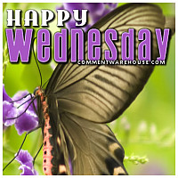 happy wednesday butterfly views 742 by gallery administrator happy ...