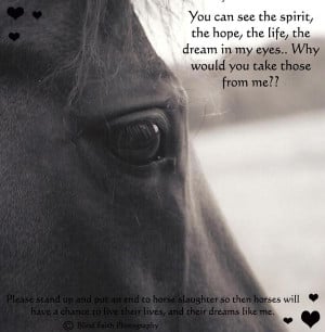 Save The Horses
