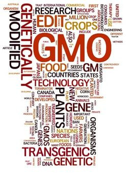 : Why Genetically Engineered Food is Dangerous: New Report by Genetic ...