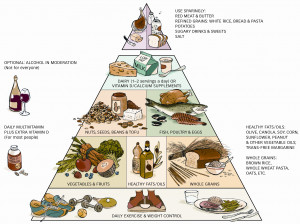 The Harvard School of Public Health has created a new food pyramid ...