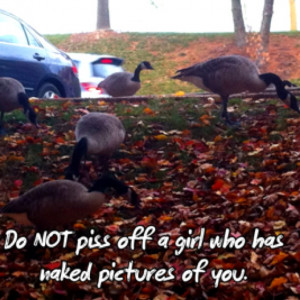 This Should Go Without Saying..,