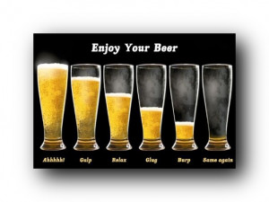 Details about Enjoy Your Beer Poster Funny Beer Chart 33601