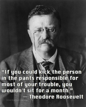 Great quote from Teddy Roosevelt.