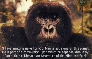 have amazing news for you....