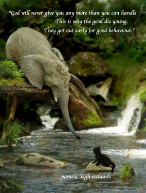 Elephant Kitty pamela quote good behaviour