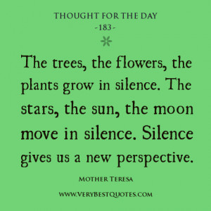 ... gives us a new perspective. Mother Teresa Quotes, Thought For The Day