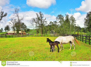 Funny Quotes Contact Dmca