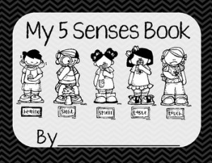 related quotes for five senses worksheets here are list of five senses ...