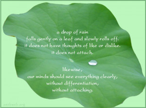 picture quotes sayings about attachment and differentiation