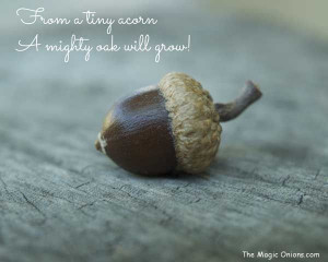 Inspiration - The Magic Onions