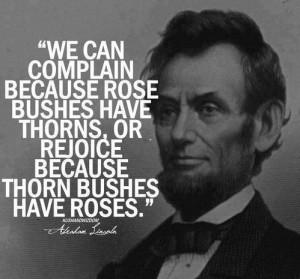 ... rose bushes have thorns, or rejoice because thorn bushes have roses