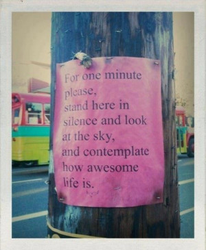 Contemplate the beauty of life quote