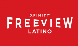 The nation’s largest provider of Hispanic and multicultural ...
