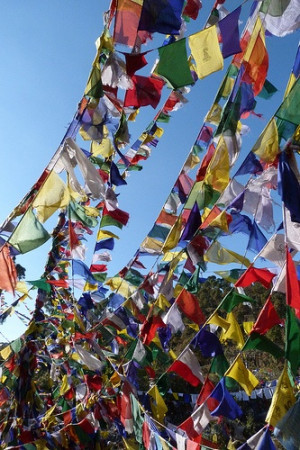 ... prayer flags into a party? Prayer flags with quotes from the book