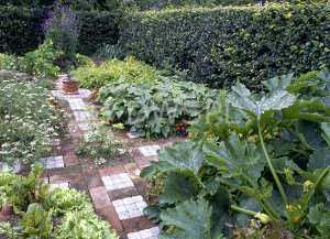 Garden, gardens, footpath, footpaths, path, paths, pathway, pathways ...