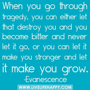 ... go...let it make you stronger and let it make you grow. ~ Evanescence
