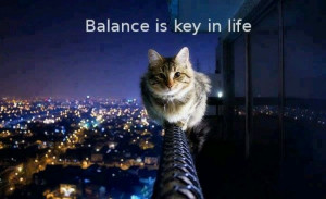 And being a ninja cat helps .....