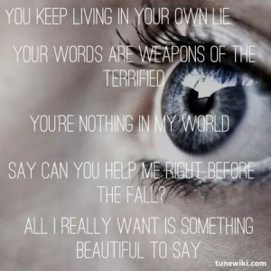 Words as weapons-Seether
