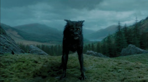 Sirius Black as 
