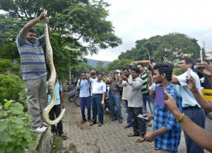 Reaching out to people scared of snakes
