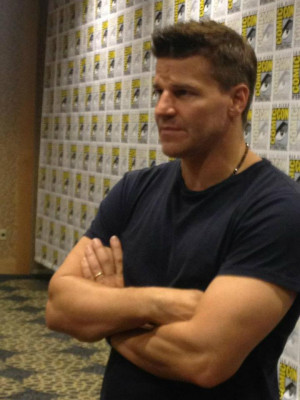 david boreanaz quotes emily deschanel Info