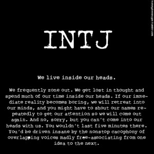 intjs are well known to be perfectionist and have high