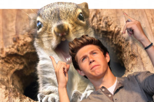 SQUIRRELATTACKONEDIRECTION-facebook.jpg
