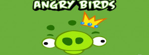 Angry-bird-fb-cover