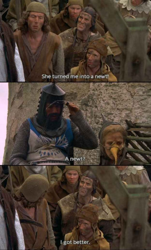 Wonderful quotes from Monty Python & the Holy Grail. Awesome.