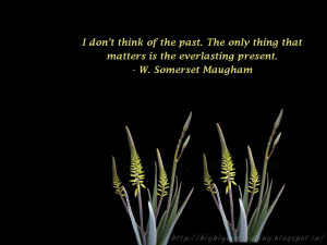 Posted by Ǵôďş Čħìɭḑ at 7:53 AM