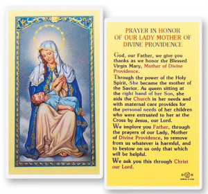 Our Lady of Divine Providence Laminated Prayer Cards 25 Pack - Full ...