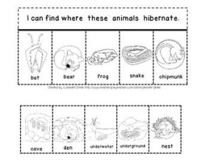 ... Poems, Animal Poems, Winter Super, Animal In Winter Kindergarten, Math