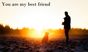 ... wallpaper dedicated for dog who is my best friend in my life