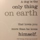 ... earth-a-dog-quotes-with-pictures-funny-dog-quotes-with-pictures-80x80