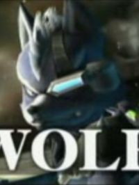 Playtime is over Star Fox