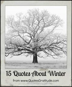 15 Quotes About Winter - from QuotesGratitude.com #winter #quote
