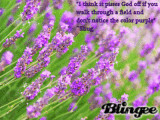 color purple quotes celie