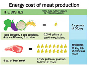 Meat industry directly responsible for global warming