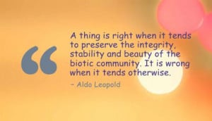 Quotes on Integrity And Character Integrity Beauty Quote