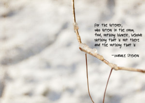 Little Snow, A Little Wallace Stevens
