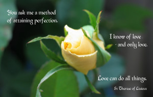 ... love - and only love. Love can do all things. -- St Therese of Lisieux