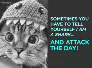shark-attack-day-quote-cat