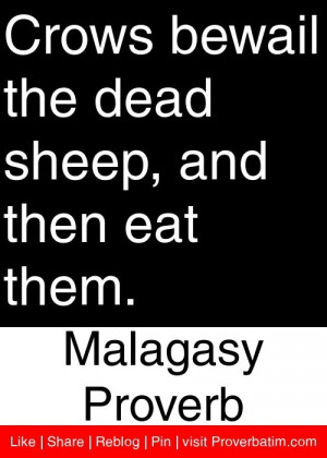 Crows bewail the dead sheep, and then eat them. - Malagasy Proverb # ...