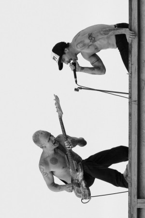 peter's adventure on tumblr