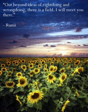 ... and rightdoing there is a field. I’ll meet you there. ~Rumi
