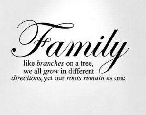 family quotes,family quote